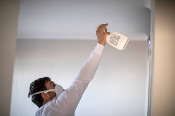 Best Mold Damage Repair  in Elsberry, MO