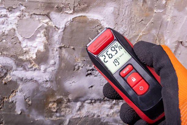 Best Mold Removal Process  in Elsberry, MO